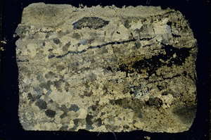 Cross Polarized, ED3941