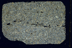 Cross Polarized, ED3951