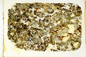 Plane Polarized, ED3979