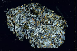 Cross Polarized, ED3984