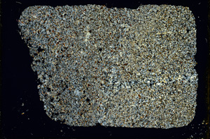 Cross Polarized, ED3999