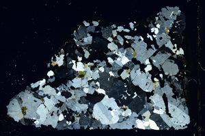 Cross Polarized, ED4001