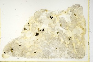 Plane Polarized, ED4001