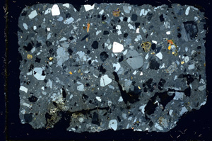 Cross Polarized, ED4002