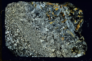 Cross Polarized, ED4006