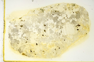 Plane Polarized, ED4008