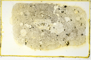 Plane Polarized, ED4012