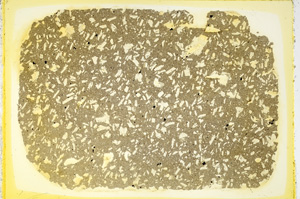 Plane Polarized, ED4023