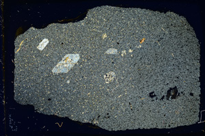 Cross Polarized, ED4024