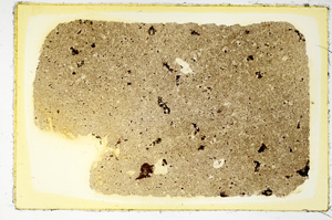 Plane Polarized, ED4027