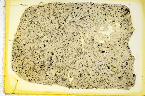 Plane Polarized, ED4034