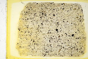 Plane Polarized, ED4039