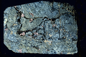 Cross Polarized, ED4044