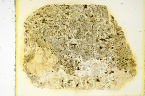 Plane Polarized, ED4050