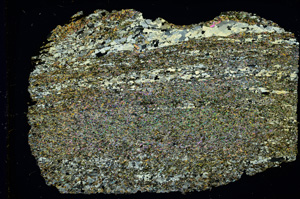 Cross Polarized, ED4055