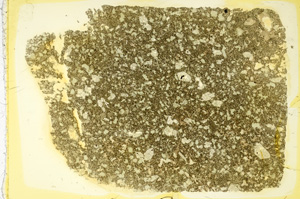 Plane Polarized, ED4058