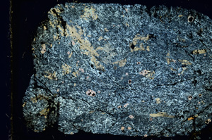 Cross Polarized, ED4061