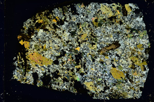 Cross Polarized, ED4063