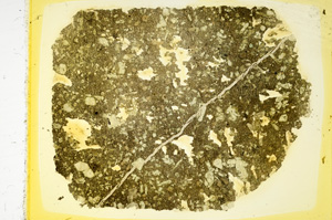 Plane Polarized, ED4075