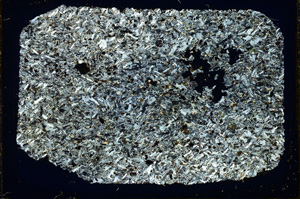 Cross Polarized, ED4088