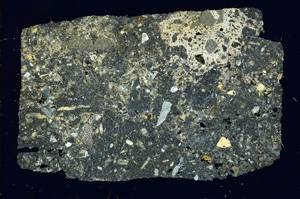 Cross Polarized, ED4091