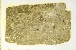 Plane Polarized, ED4091