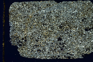 Cross Polarized, ED4092