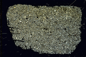 Cross Polarized, ED4103