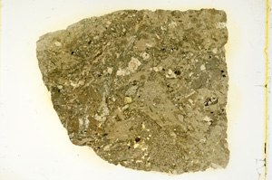 Plane Polarized, ED4110