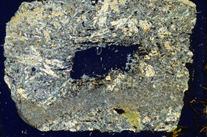 Cross Polarized, ED4111