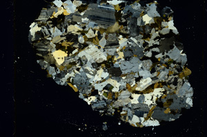 Cross Polarized, ED4119