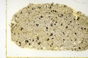 Plane Polarized, ED4136