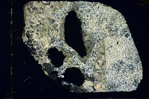 Cross Polarized, ED4139