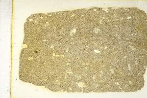 Plane Polarized, ED4145