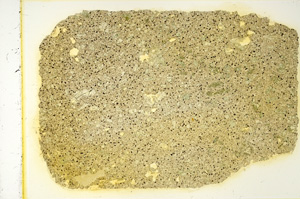 Plane Polarized, ED4150