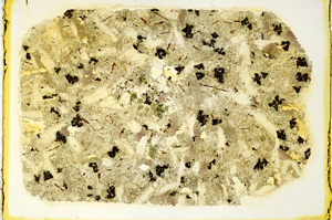 Plane Polarized, ED4157