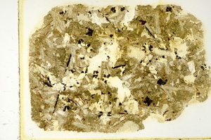 Plane Polarized, ED4160