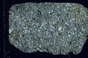 Cross Polarized, ED4165