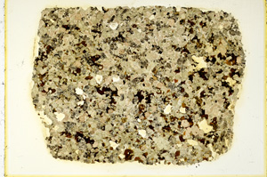 Plane Polarized, ED4190