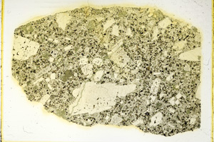 Plane Polarized, ED4249