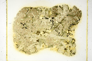 Plane Polarized, ED4252