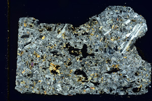 Cross Polarized, ED4265