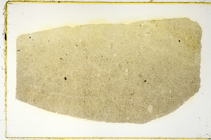 Plane Polarized, ED4287