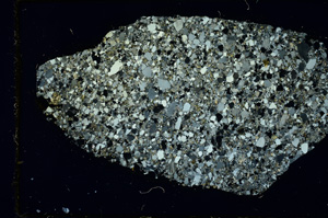 Cross Polarized, ED4300