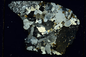 Cross Polarized, ED4304