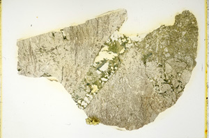 Plane Polarized, ED4305