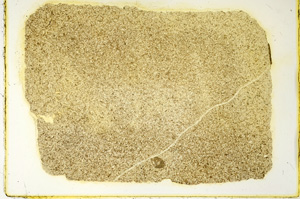 Plane Polarized, ED4325