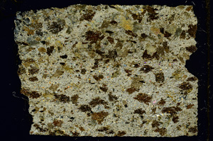 Cross Polarized, ED4329