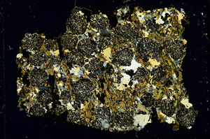 Cross Polarized, ED4349