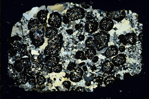 Cross Polarized, ED4372